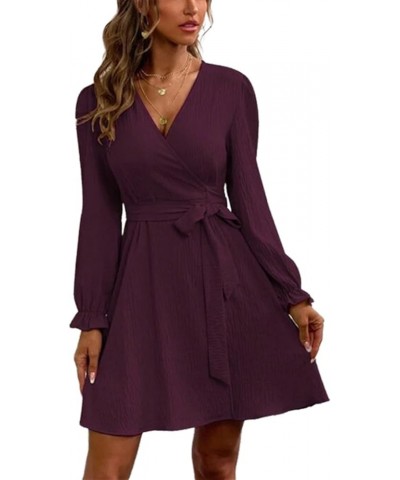 Women's Casual Wrap V Neck Shirt Dress Spring Winter 2024 Long Sleeve Tie Waist Mini Flowy Formal Dress Wine $11.39 Dresses