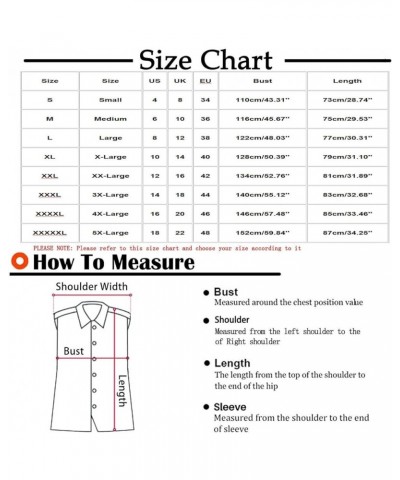 Fleece Vest Women Sleeveless Zip Up Fuzzy Sherpa Vests Color Block Hoodies Jacket Thicken Warm Winter Outerwear L-light Blue ...